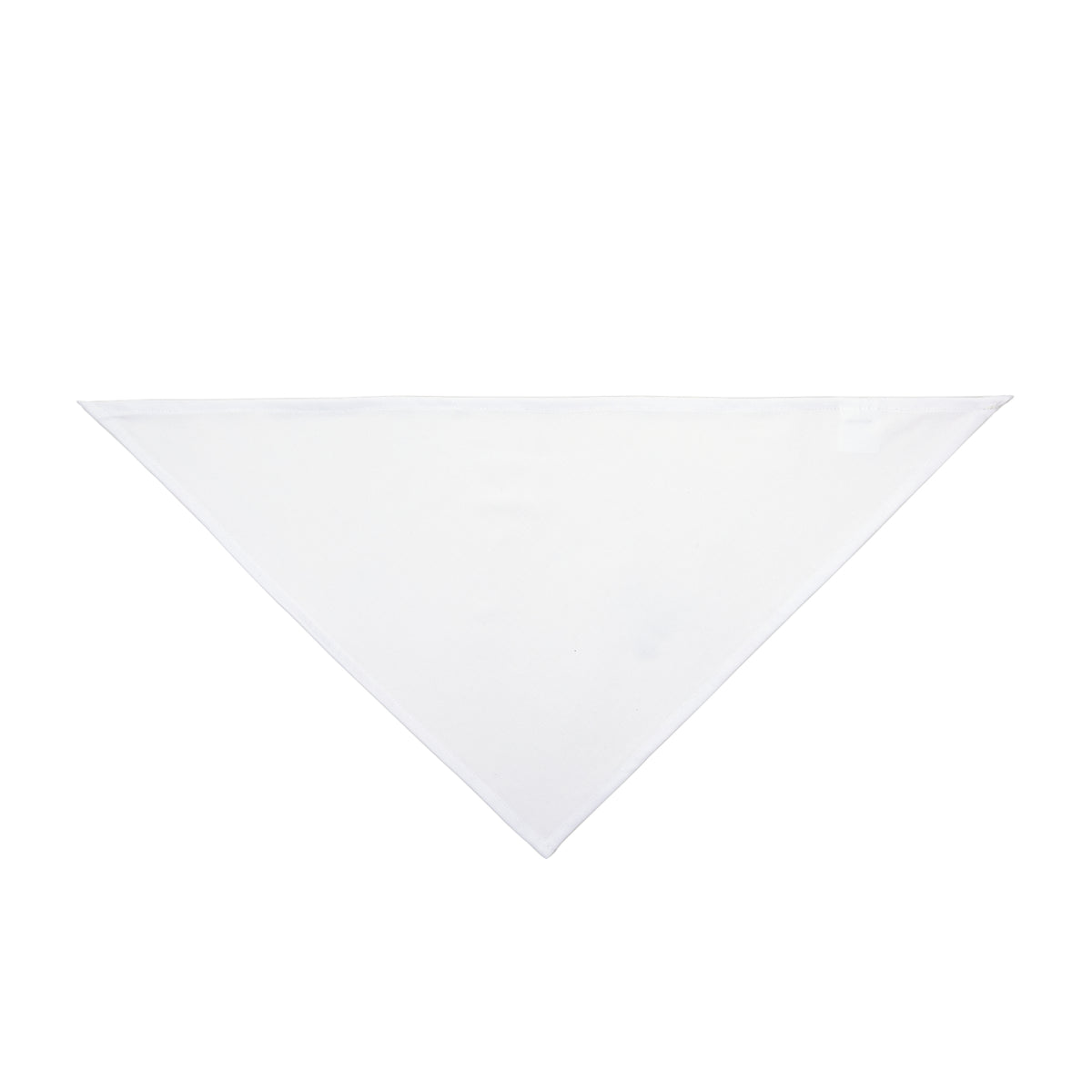Unpaid Intern — Company Property Pet Bandana
