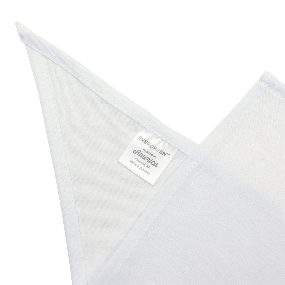 Unpaid Intern — Company Property Pet Bandana