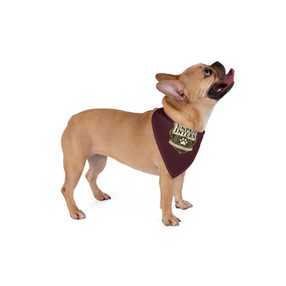 Unpaid Intern — Company Property Pet Bandana