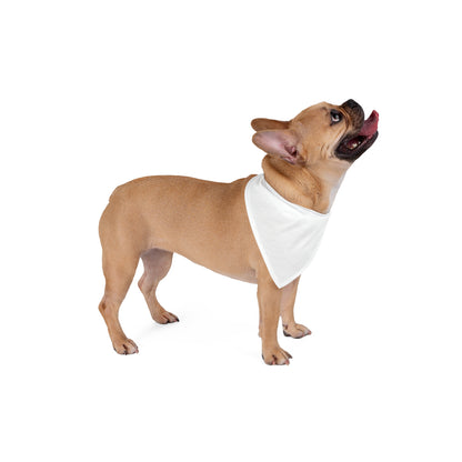 Unpaid Intern — Company Property Pet Bandana