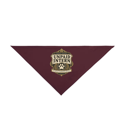 Unpaid Intern — Company Property Pet Bandana